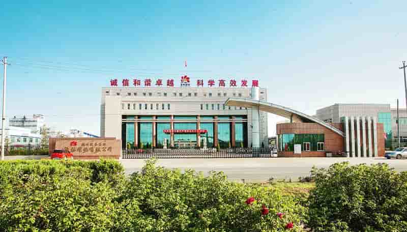 陕西某煤化有限公司